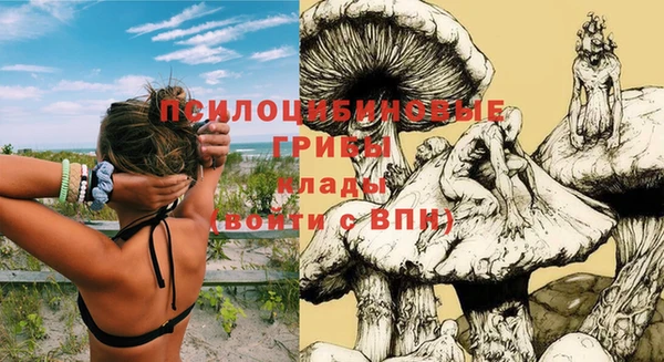 apvp Ладушкин