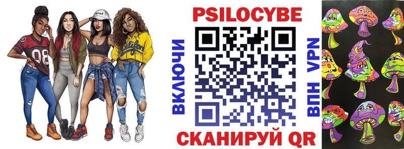 Галлюциногенные грибы Psilocybe  Купить закладки  Луза 