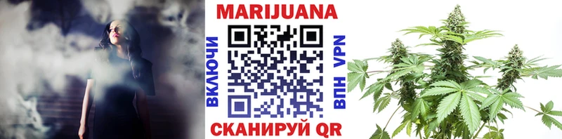 Шишки марихуана OG Kush  Купить закладки  Луза 